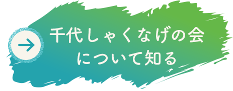 千代しゃくなげの会について