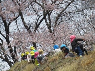 春っていいね