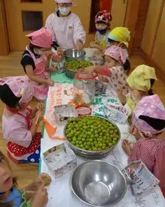 梅ジュースつくり