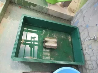 かめきち、おかえり！