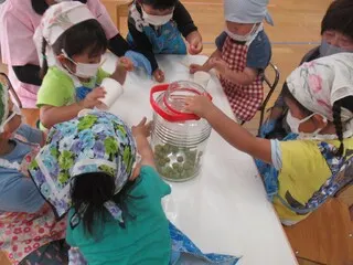 未満児さんも梅ジュース作り