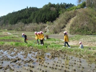 よこね田んぼへお散歩
