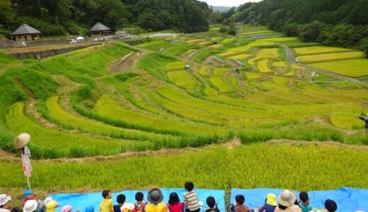 収穫の秋になりました