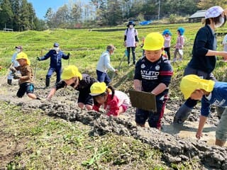 「よこね田んぼ」始まりました