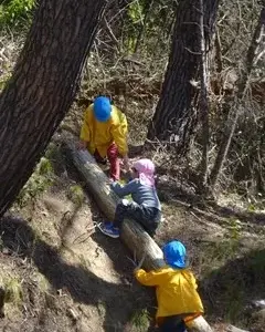 裏山、おもしろい