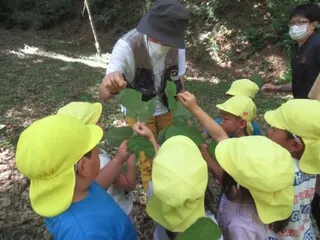 夏の裏山、魅力がいっぱい