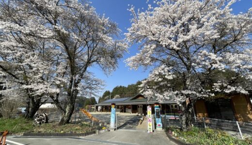 入園式