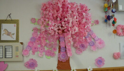 お花見に行ってきました🌸